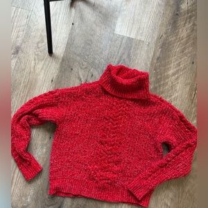 Adrienne Vittadini Cozy Red Turtleneck Sweater